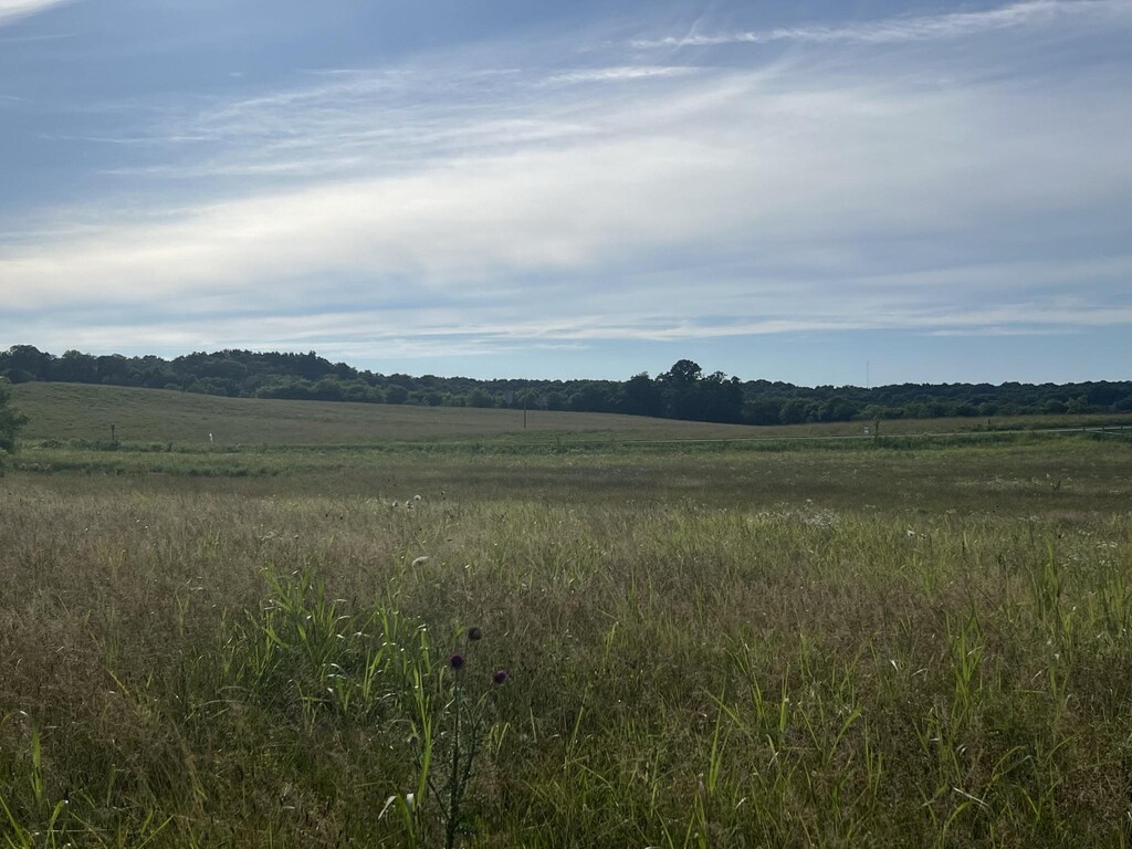 0 Haley Rd, Wartrace, TN 37183 - photo 3