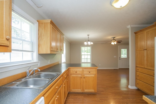 kitchen with kitchen peninsula, ornamental molding, and sink