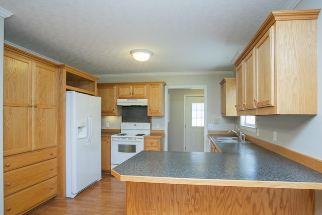 kitchen with kitchen peninsula, white appliances, and ornamental molding