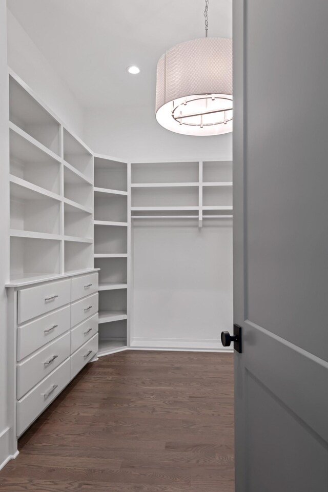 walk in closet with dark hardwood / wood-style floors