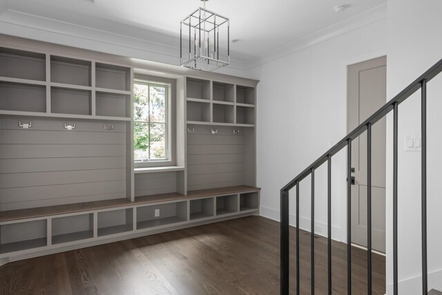 mudroom with crown molding and dark wood-type flooring