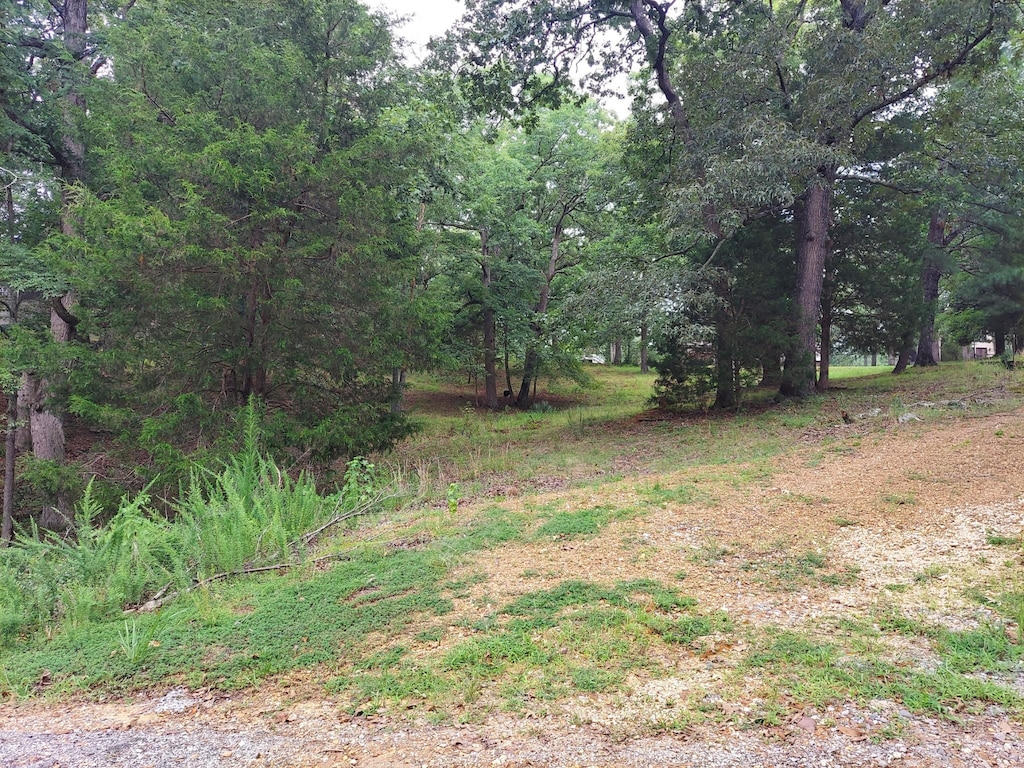0 Valley Dr, Springville, TN 38256 - photo 1