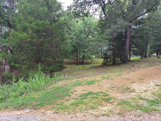 0 Valley Dr, Springville, TN 38256