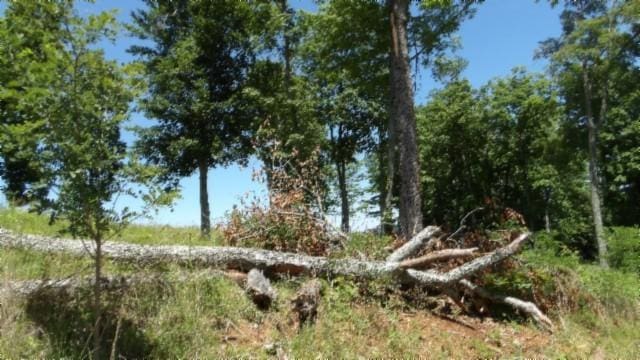 7 E Rock Fish Ln, Hilham, TN 38568