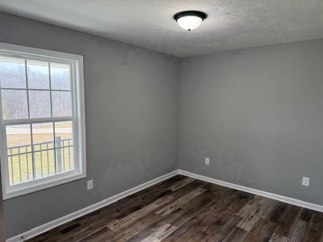 unfurnished room featuring a wealth of natural light, dark hardwood / wood-style floors, and a textured ceiling