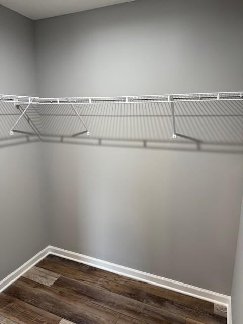 walk in closet featuring wood-type flooring