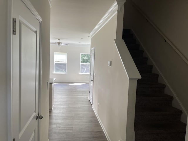 stairs with ceiling fan, hardwood / wood-style flooring, and ornamental molding