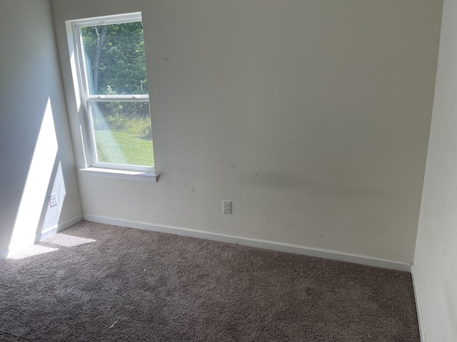 spare room with carpet floors