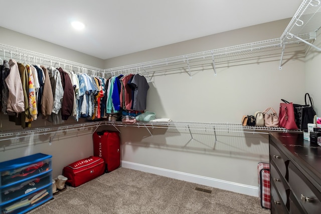 walk in closet featuring carpet