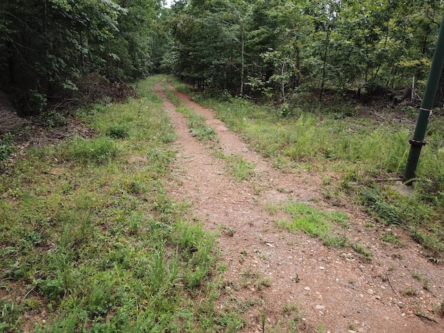 Listing photo 3 for 0 Oak Hill Rd, Lyles TN 37098