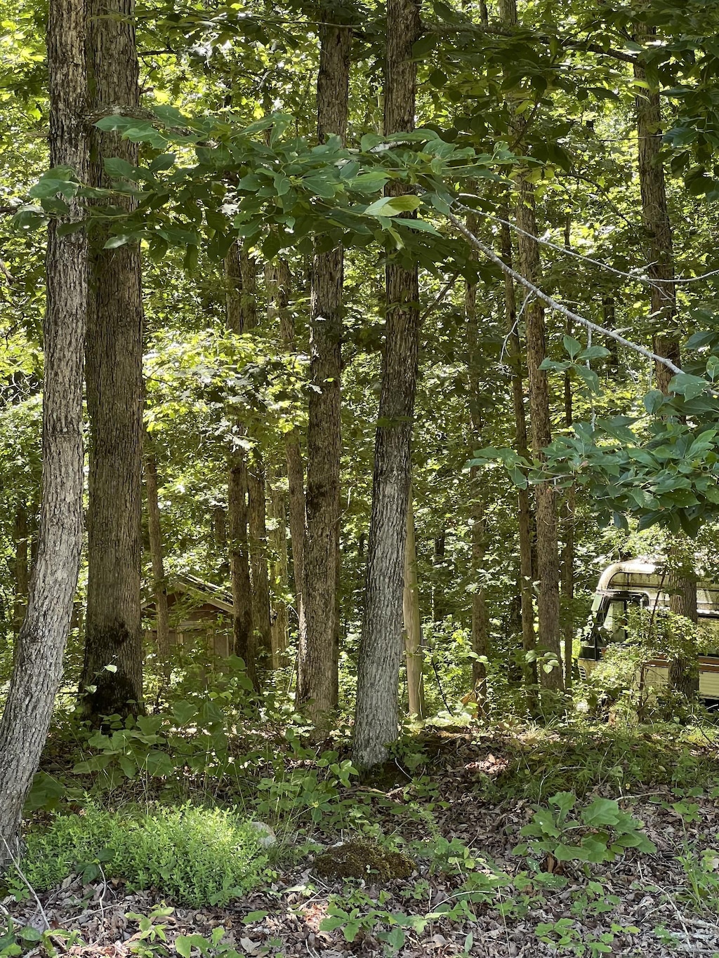 63 Charlsie Ln, Stewart, TN 37175
