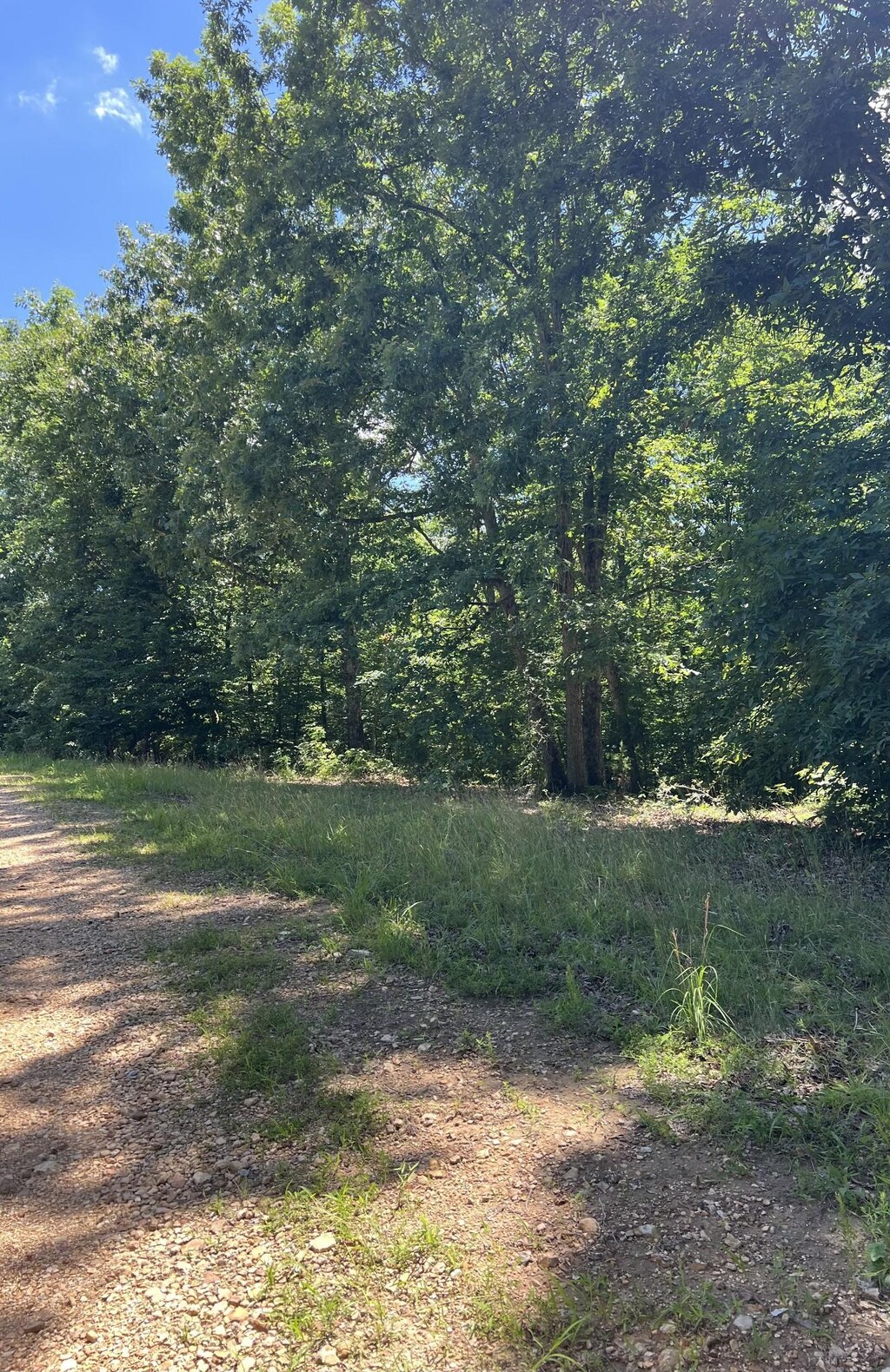 63 Charlsie Ln, Stewart, TN 37175