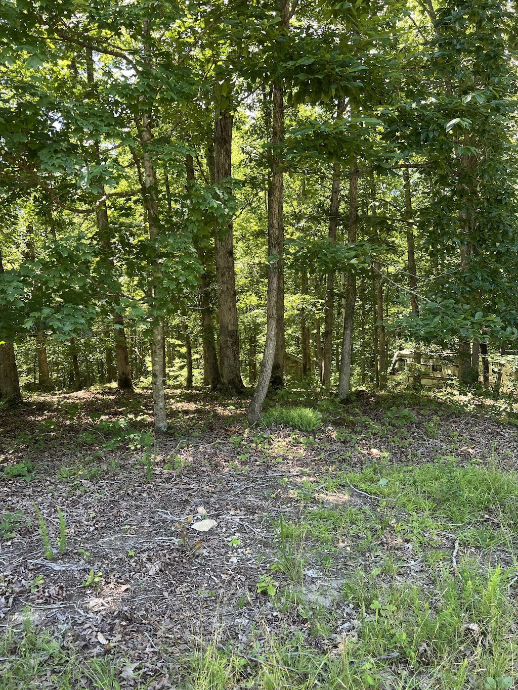63 Charlsie Ln, Stewart, TN 37175