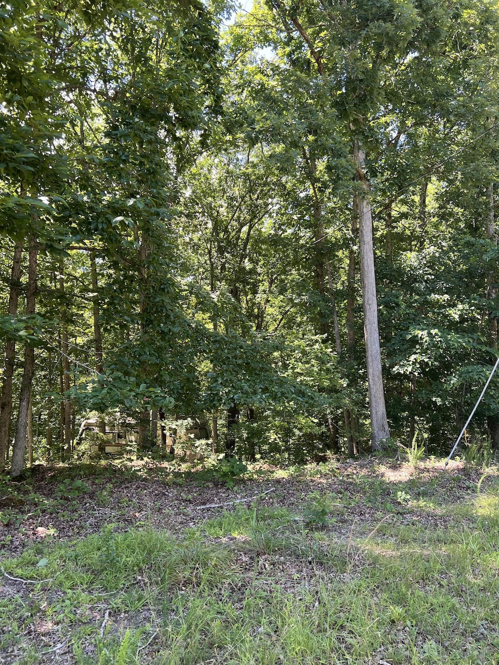 63 Charlsie Ln, Stewart, TN 37175