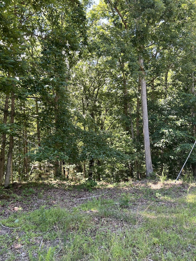 63 Charlsie Ln, Stewart, TN 37175