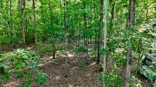 63 Charlsie Ln, Stewart, TN 37175