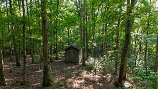 63 Charlsie Ln, Stewart, TN 37175