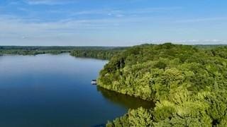 63 Charlsie Ln, Stewart, TN 37175