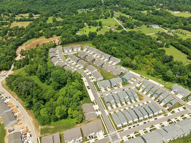 bird's eye view