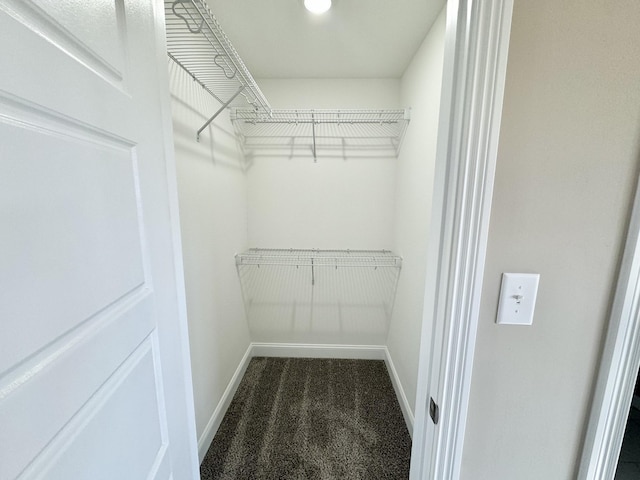 walk in closet featuring carpet flooring