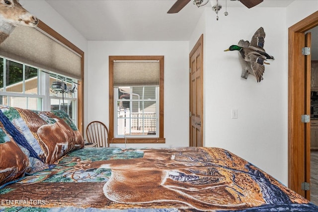 bedroom with ceiling fan and multiple windows