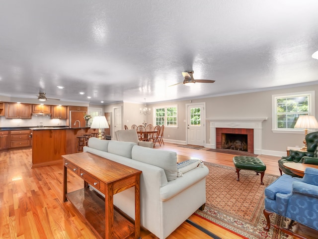 living room with plenty of natural light, ceiling fan, and light wood-type flooring