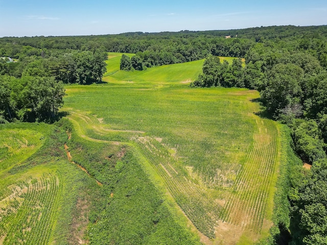 bird's eye view featuring a rural view