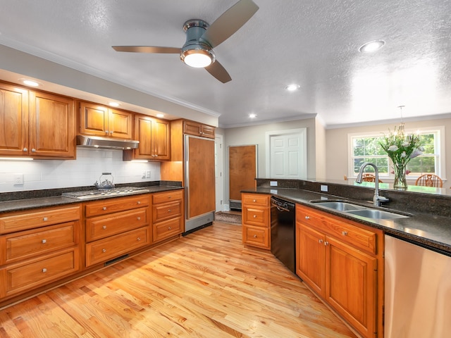 kitchen with ceiling fan, light hardwood / wood-style flooring, black dishwasher, stainless steel gas cooktop, and sink