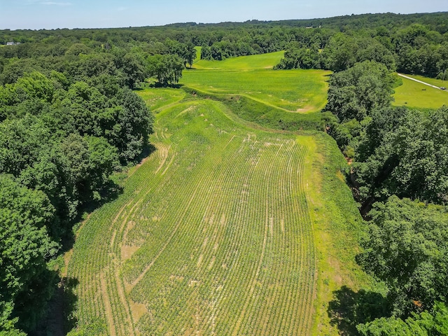 aerial view with a rural view