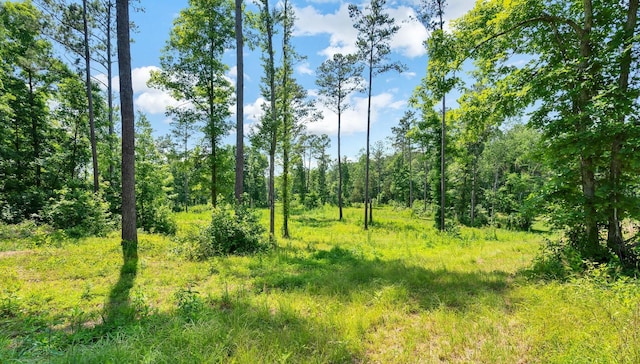 view of local wilderness