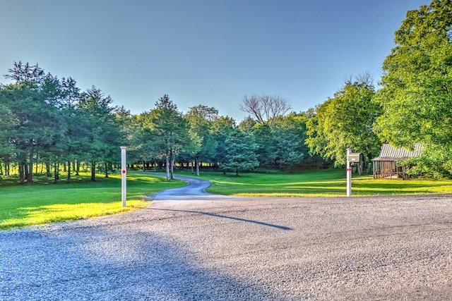 view of property's community featuring a yard