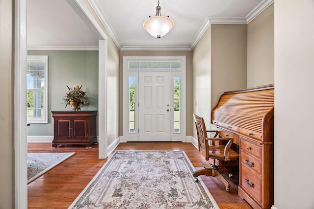 foyer with crown molding and wood-type flooring