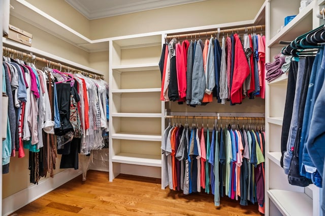 walk in closet featuring wood-type flooring