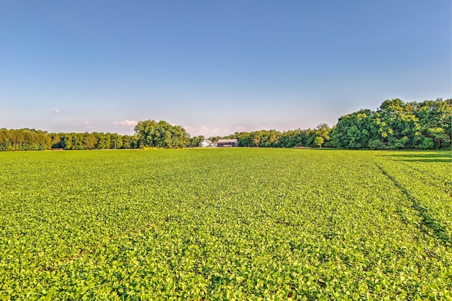 view of yard featuring a rural view