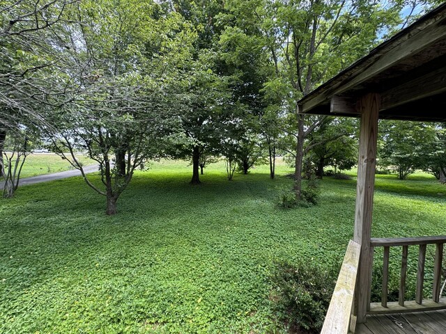 5570 Shelbyville Pike, Christiana, TN 37037 - photo 6