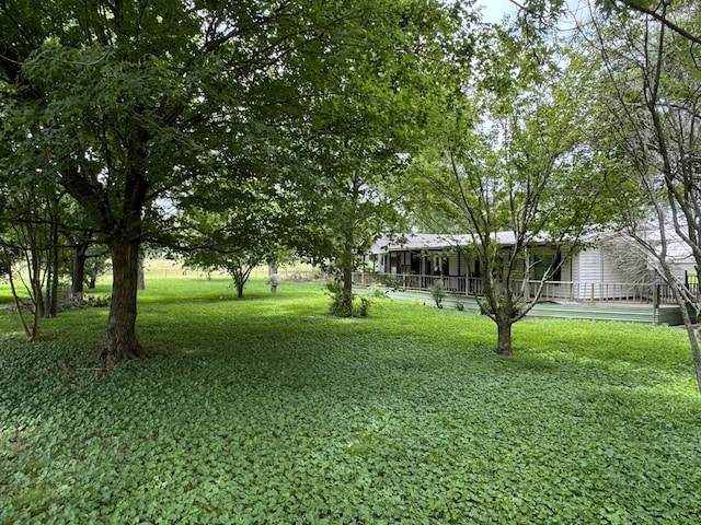 5570 Shelbyville Pike, Christiana, TN 37037 - photo 5
