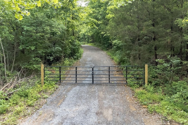 6492 Arno College Grove Rd, College Grove, TN 37046 - photo 2