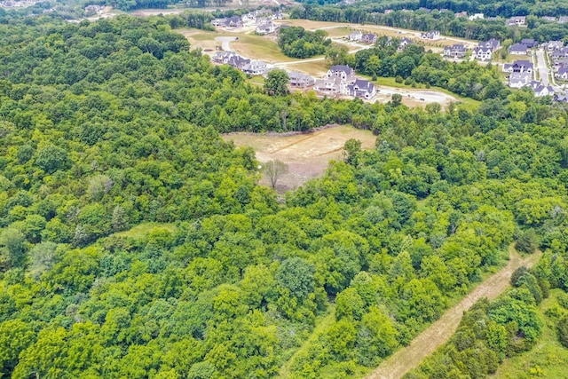 6492 Arno College Grove Rd, College Grove, TN 37046 - photo 15