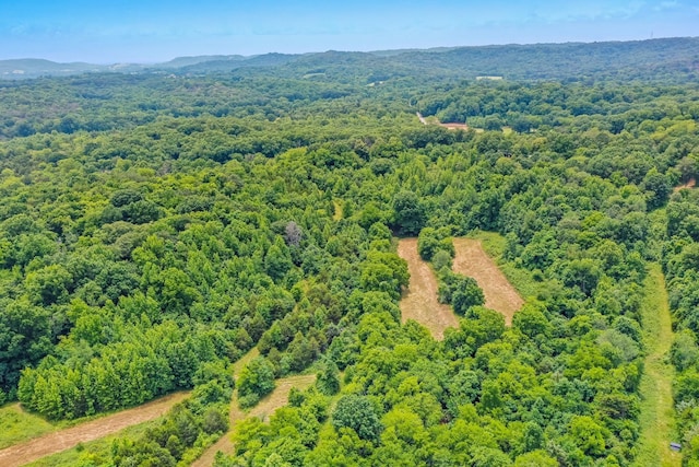 6492 Arno College Grove Rd, College Grove, TN 37046 - photo 17