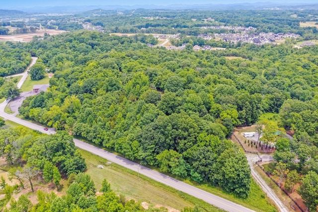 6492 Arno College Grove Rd, College Grove, TN 37046 - photo 19