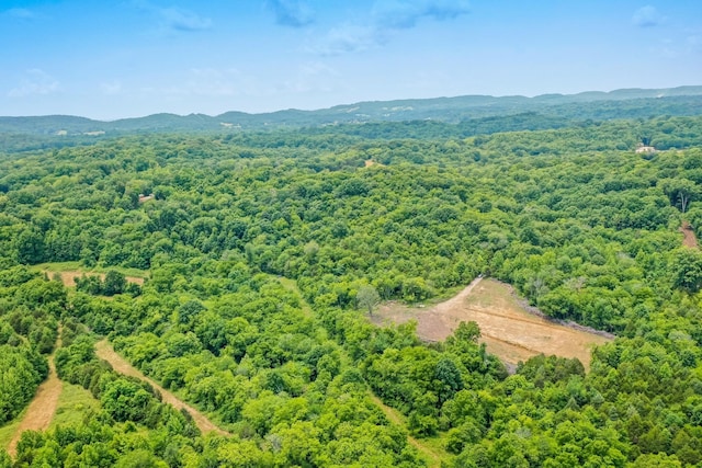 6492 Arno College Grove Rd, College Grove, TN 37046 - photo 9