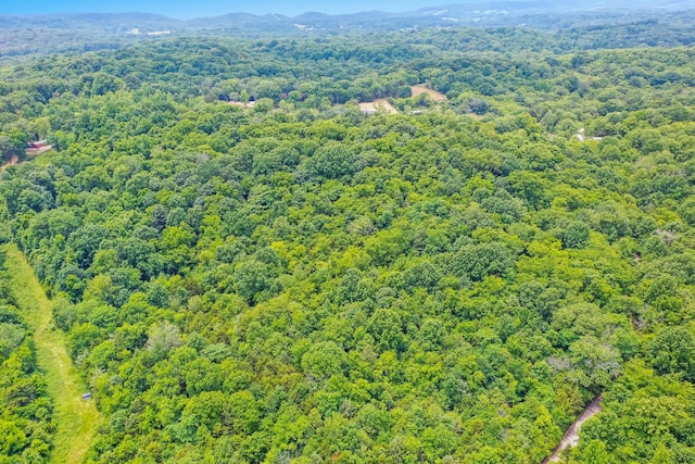 6492 Arno College Grove Rd, College Grove, TN 37046 - photo 16