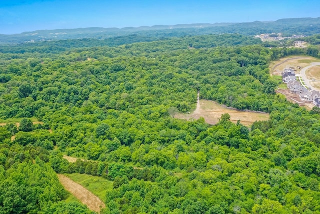 6492 Arno College Grove Rd, College Grove, TN 37046 - photo 10