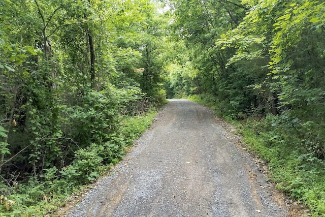 6492 Arno College Grove Rd, College Grove, TN 37046 - photo 3