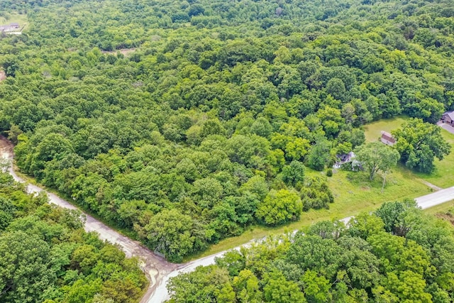 6492 Arno College Grove Rd, College Grove, TN 37046 - photo 5