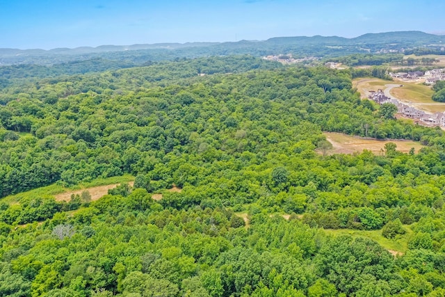 6492 Arno College Grove Rd, College Grove, TN 37046 - photo 11