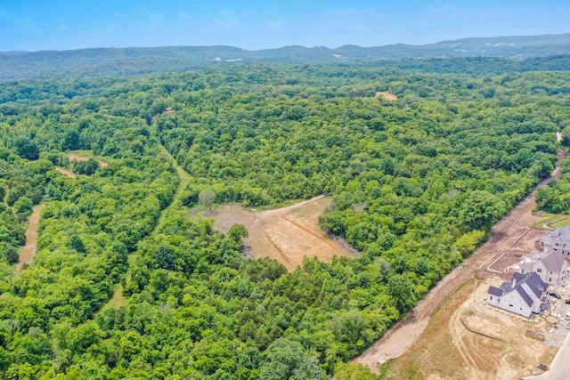 6492 Arno College Grove Rd, College Grove, TN 37046 - photo 8