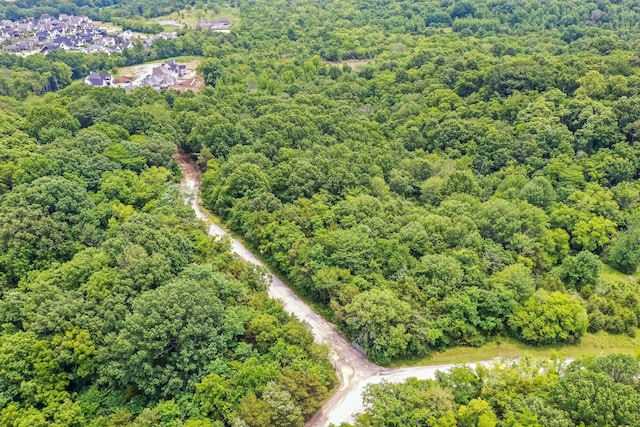 6492 Arno College Grove Rd, College Grove, TN 37046 - photo 1