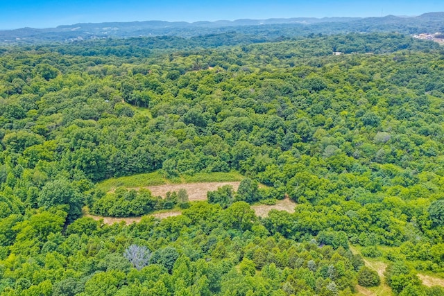 6492 Arno College Grove Rd, College Grove, TN 37046 - photo 12