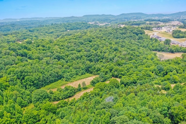 6492 Arno College Grove Rd, College Grove, TN 37046 - photo 13